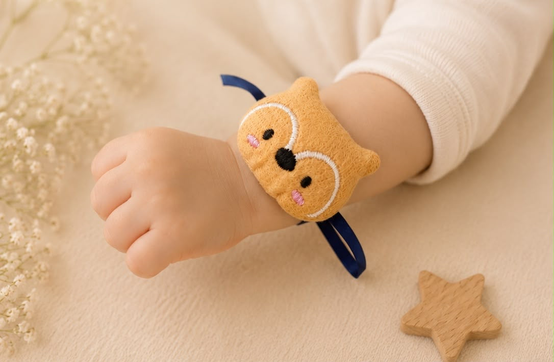 SK- 05 Premium Plush Toy Kids Rakhi | Soft Teddy Rakhi for Kids | Car, Super Spidee, Captain America & More | Raksha Bandhan 2026